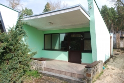 ZGM Wolsztyn